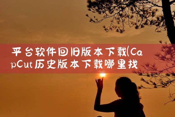 平台软件回旧版本下载