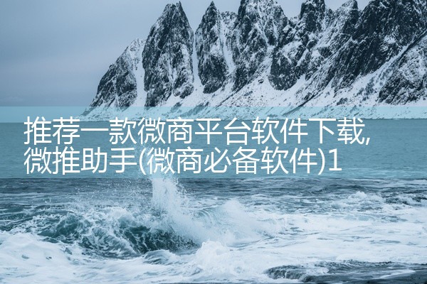 推荐一款微商平台软件下载