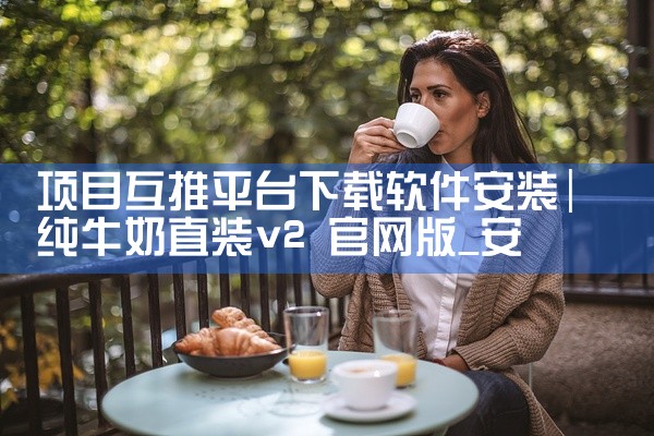 项目互推平台下载软件安装