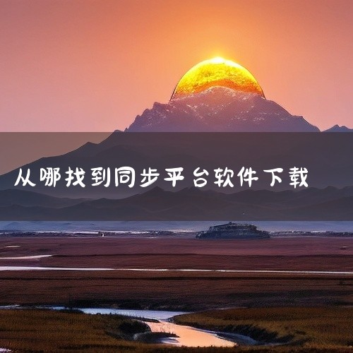 进行下载。在应用商店中，搜索框内输入“QQ同步助手”，找到对应的软件后点击下载，然后按照提示完成安装。此外，电脑用户还可以通过浏览器直接访问QQ同步助手的官方网站。在地址栏中输入“qq.com/syn,