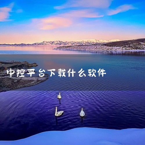 车机应用的下载软件有不少，比如以下几种：一、应用宝1. 丰富资源：它拥有海量的应用程序，涵盖各种类型，无论是日常工具类、娱乐游戏类还是系统优化类等，在应用宝中都能找到适配车机的版本。例如一些常用的音乐|