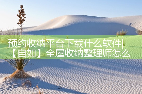 预约收纳平台下载什么软件