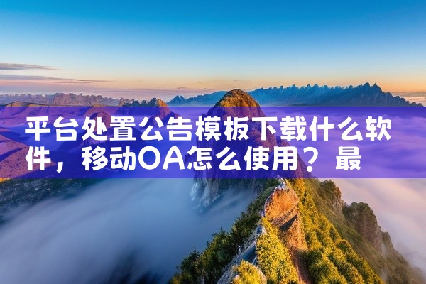 平台处置公告模板下载什么软件