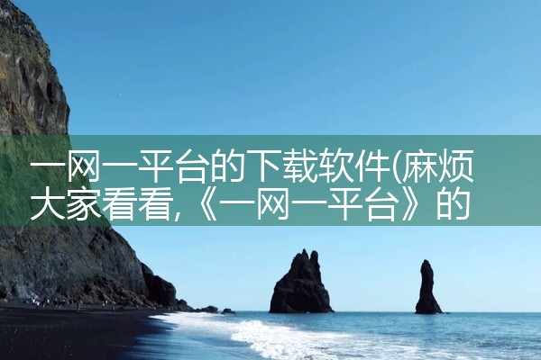 一网一平台的下载软件