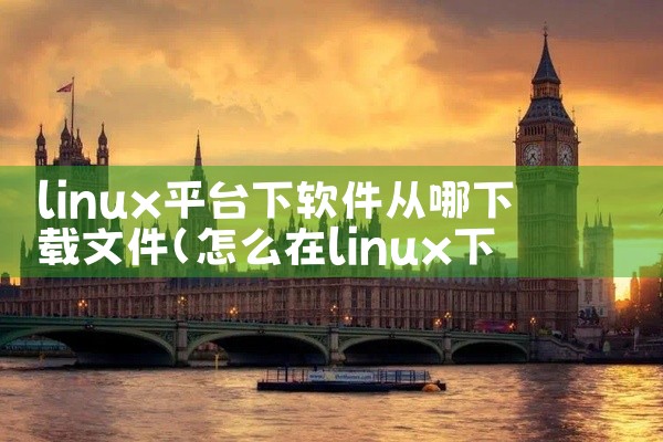 linux平台下软件从哪下载文件