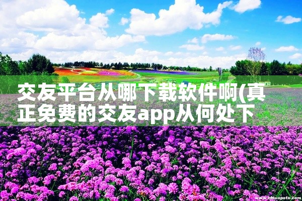 安装应用：在搜索结果列表中找到官方版“安全教育平台”，点击右侧“安装”按钮。等待安装完成：安装过程中进度条会逐步填充，待进度条显示100%且提示“安装完成”后，点击“打开”按钮。首次启动设置：首次打开,