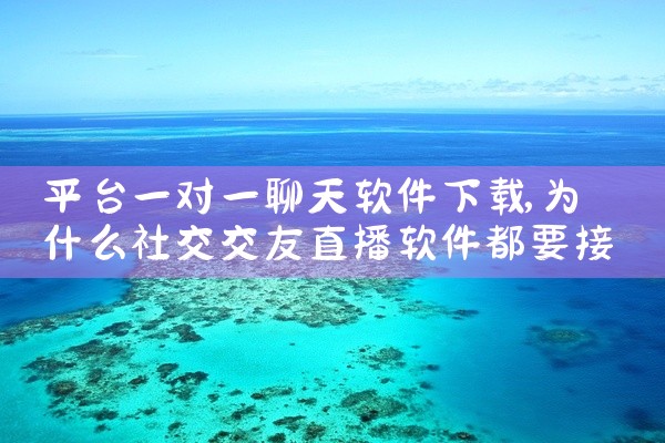 平台一对一聊天软件下载