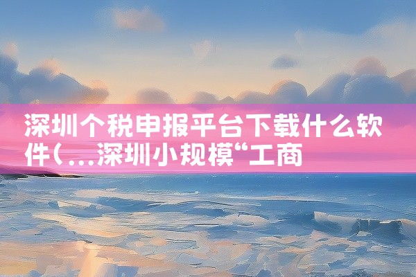 深圳个税申报平台下载什么软件
