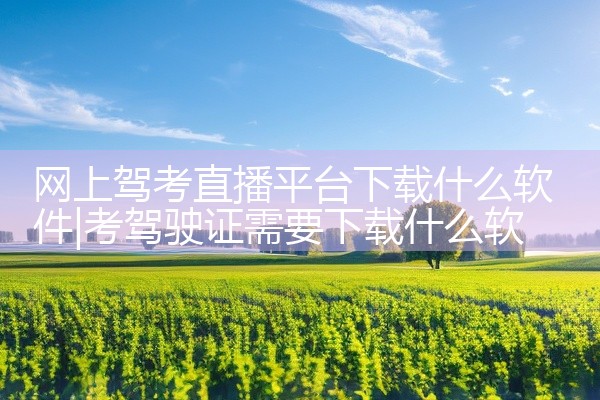 网上驾考直播平台下载什么软件