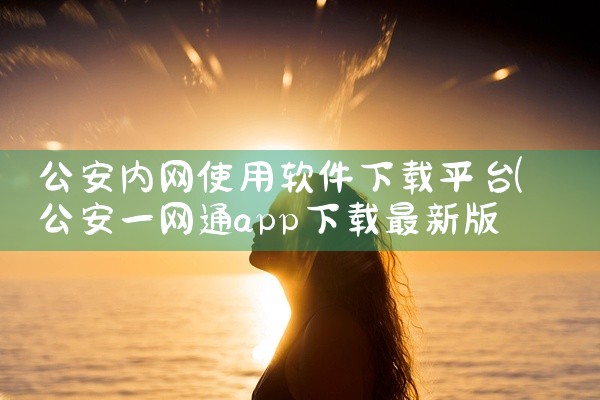 公安内网使用软件下载平台