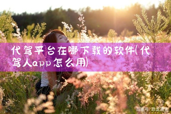 代驾平台在哪下载的软件