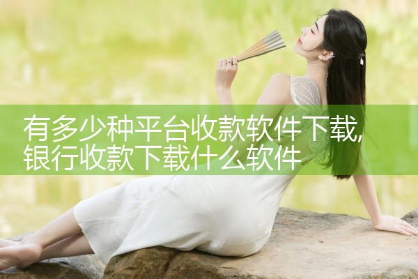 有多少种平台收款软件下载