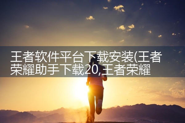 王者软件平台下载安装