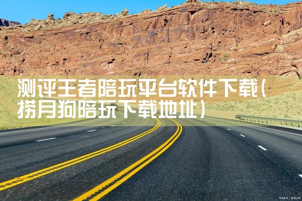 测评王者陪玩平台软件下载