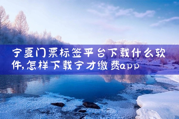 宁夏门票标签平台下载什么软件