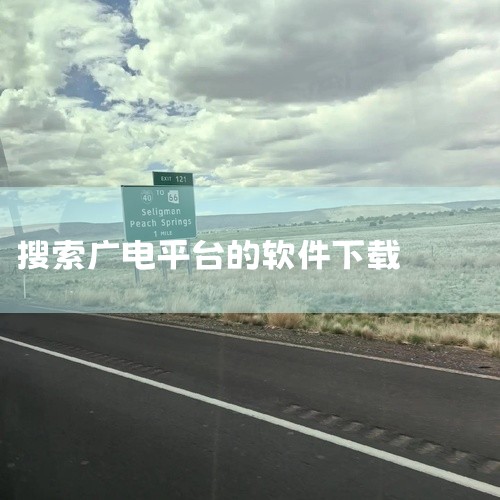 电视连接广电无线网后，可下载中国广电宽带电视app、广电电视app最新版、广电电视TV版等软件观看电视。具体介绍如下：中国广电宽带电视app：由中国广电推出，是专业的电视直播平台。其特色在于提供众多央,