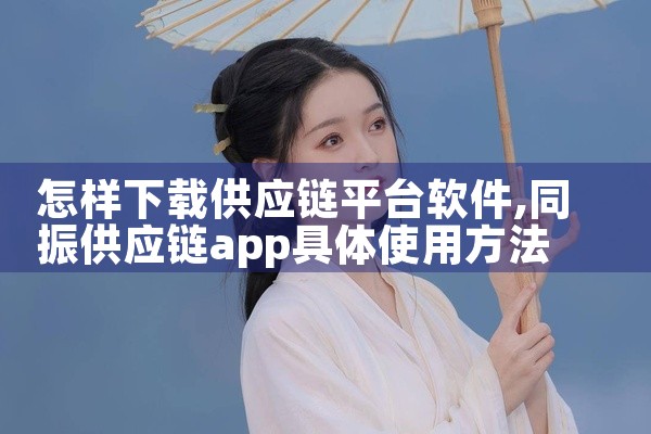 怎样下载供应链平台软件