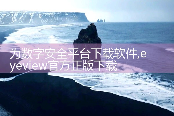 为数字安全平台下载软件