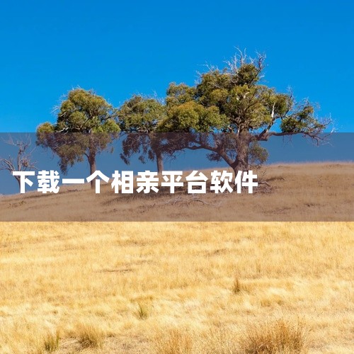 单身线上线下互通，下载碰爱，简单邂逅能走到最后的人。恋爱交友，就用碰爱！无论你是想在校园里找到知心好友，还是期待遇见一段纯粹美好的恋爱，碰爱app给你提供个性化的社交方案！作为年轻人超火的高颜值交友平|